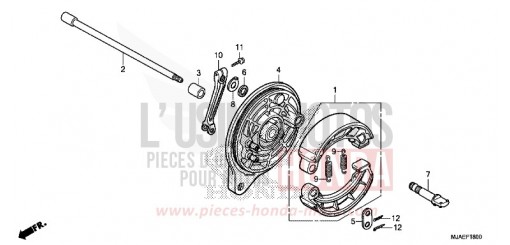 REAR BRAKE PANEL (VT750C2B/C) VT750C2BE de 2014